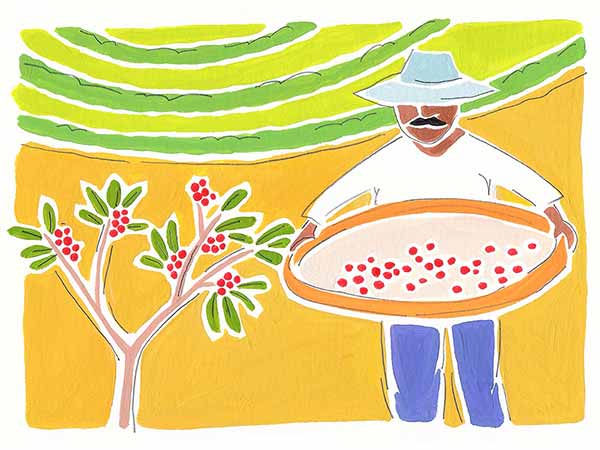 Brazilian Monte Cristo