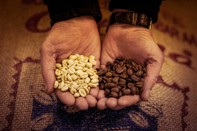 Coffee beans before (green) and after roasting.