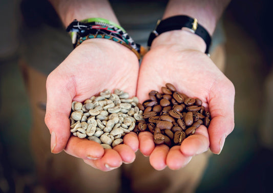 COFFEE EXPERIENCE: Your Path to Perfect Coffee